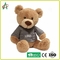 ISO9001 25CM Plush Teddy Bears Washable Premium Materials With Yellow Clothes
