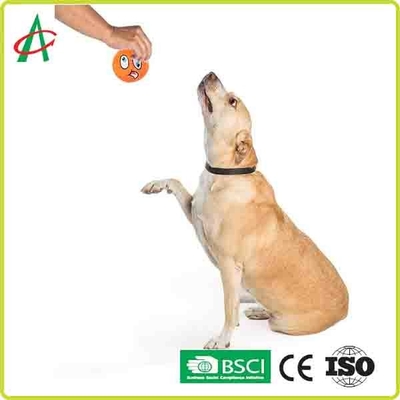 6.5cm Interactive Chew Toys Dogs